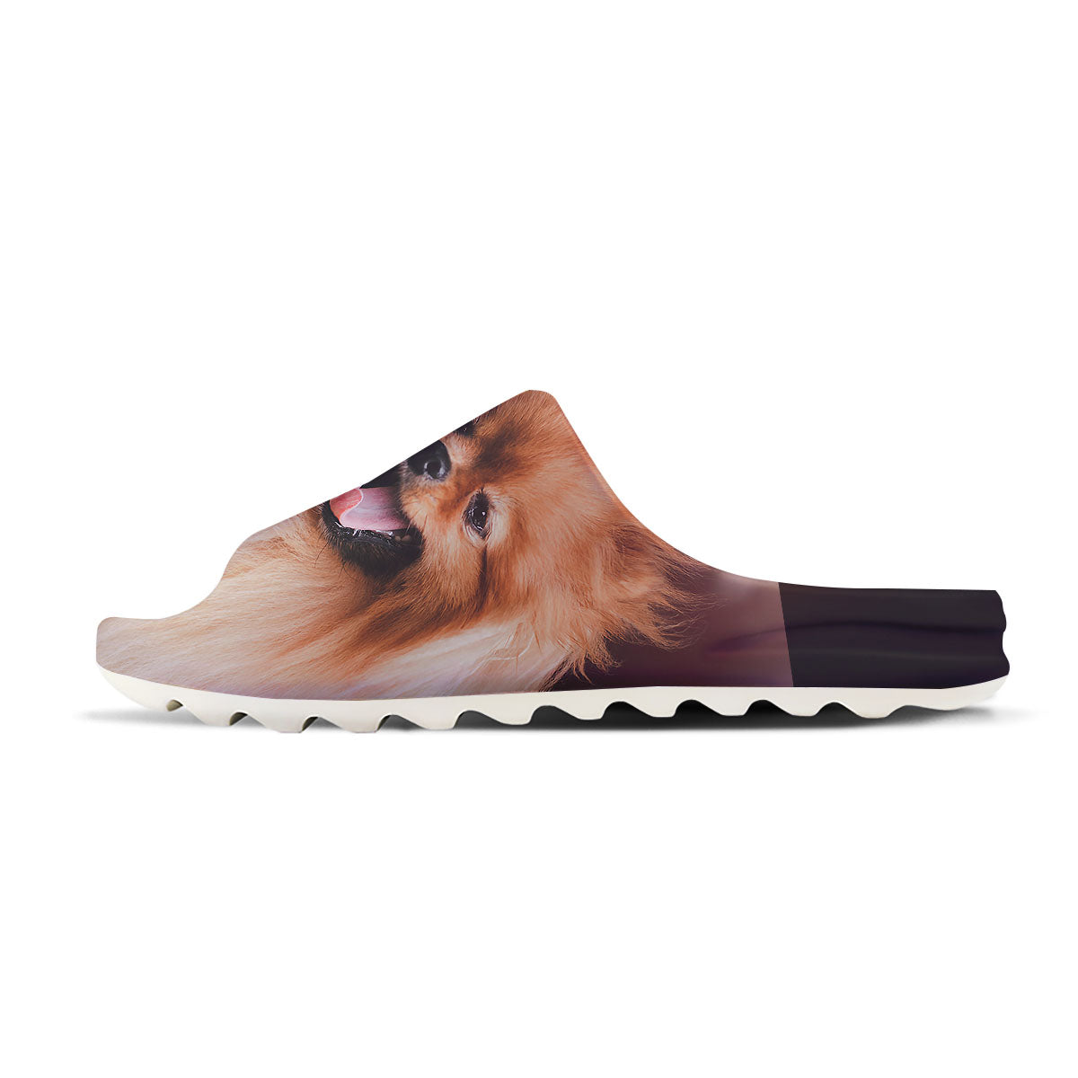Portrait Vintage Pomeranian Sandals-grizzshop