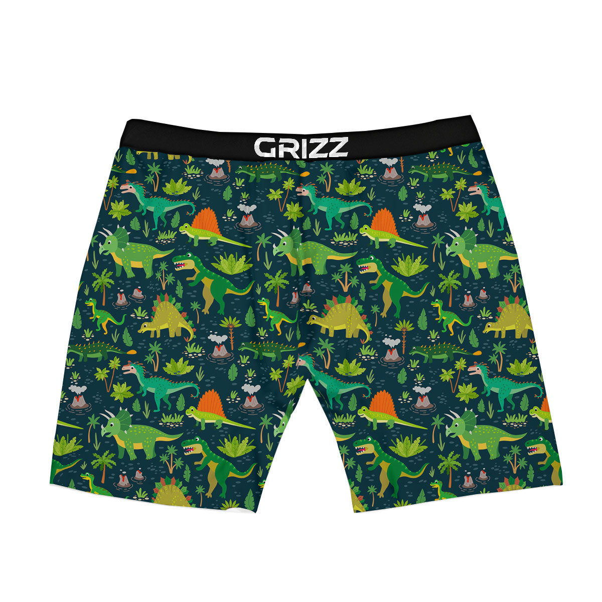 Prehistoric Plants And Dinosaur Print Boxer Briefs-grizzshop