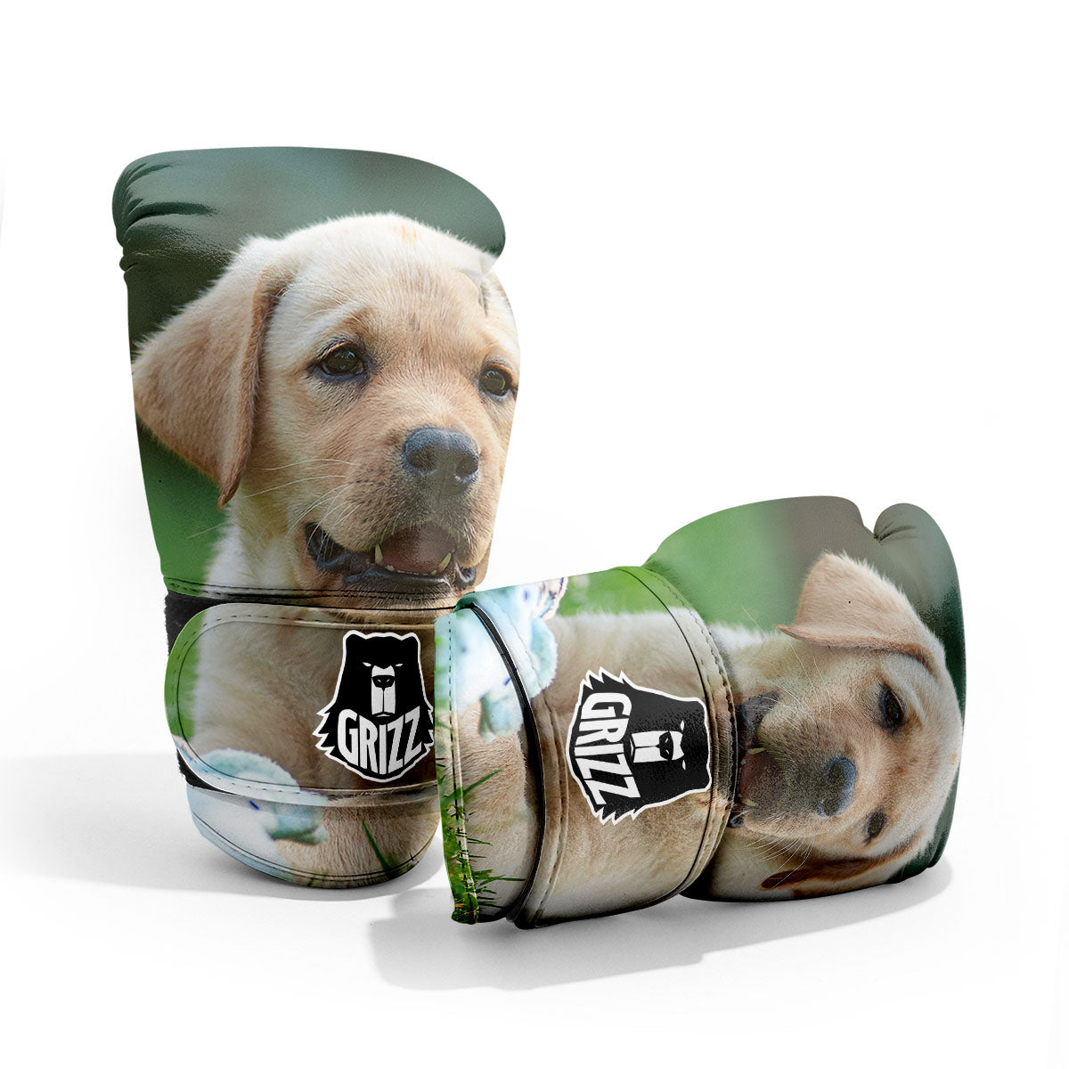Puppy And Labrador Retriever Print Pro Boxing Glove