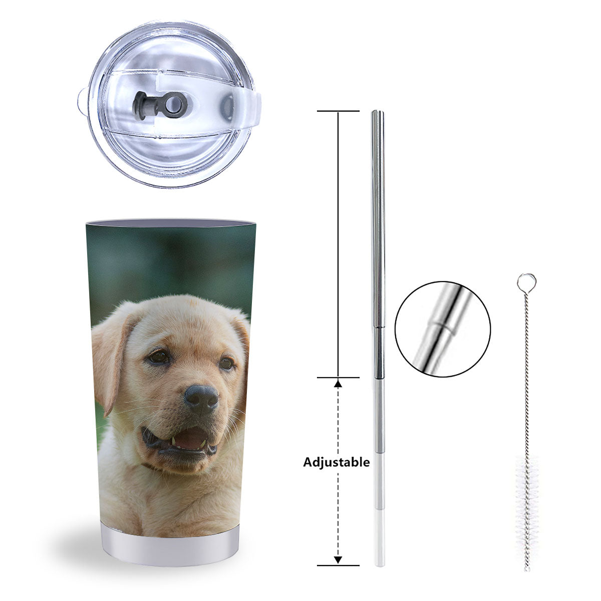 Puppy And Labrador Retriever Print Tumbler-grizzshop