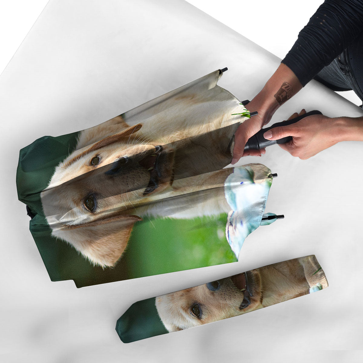 Puppy And Labrador Retriever Print Umbrella-grizzshop