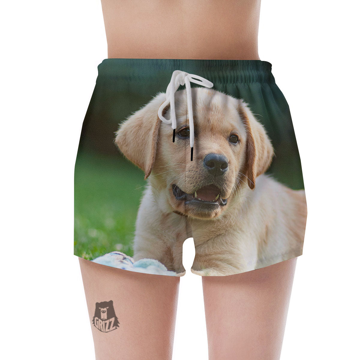 Puppy And Labrador Retriever Print Women's Shorts-grizzshop