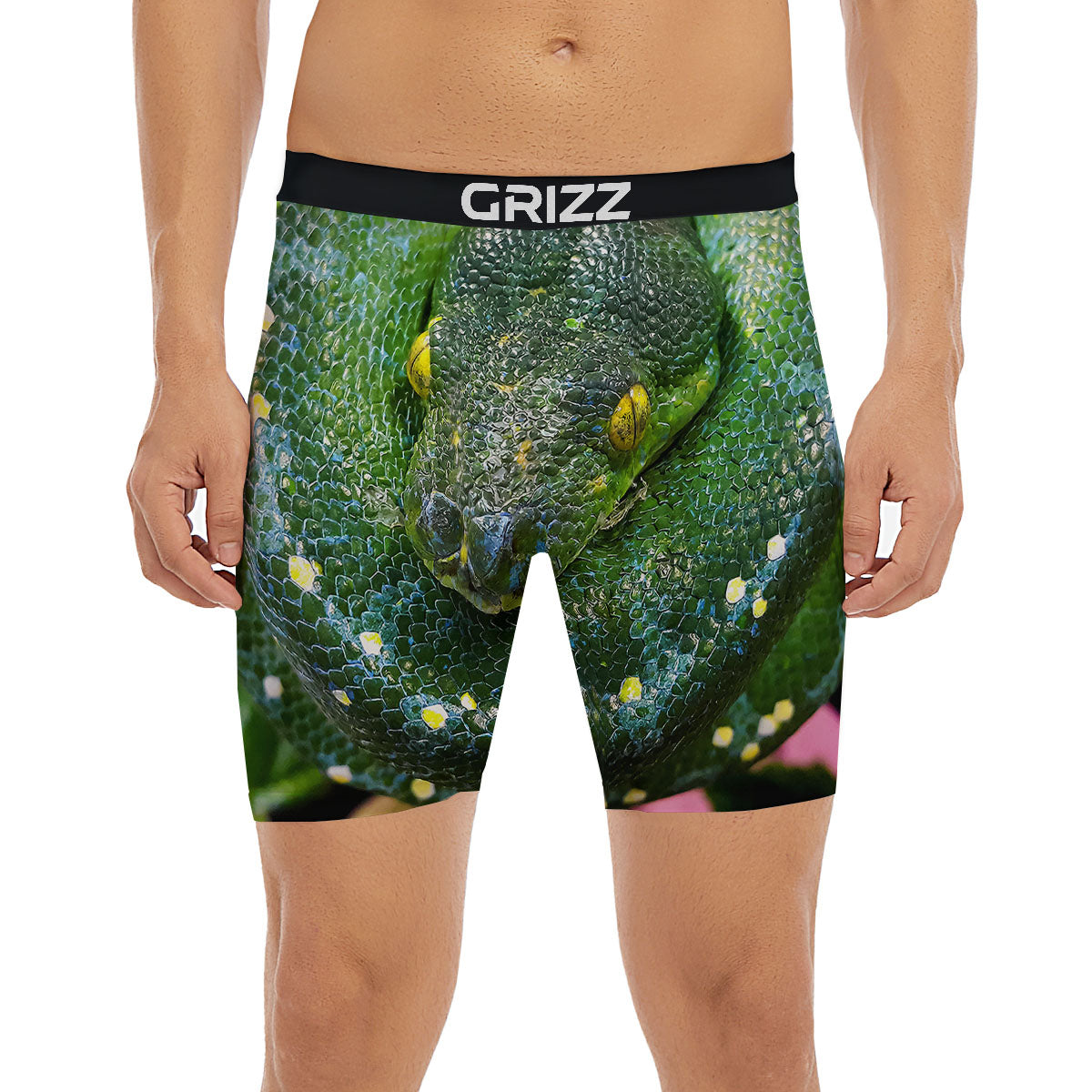 Python Snake Green Reticulated Print Boxer Briefs-grizzshop