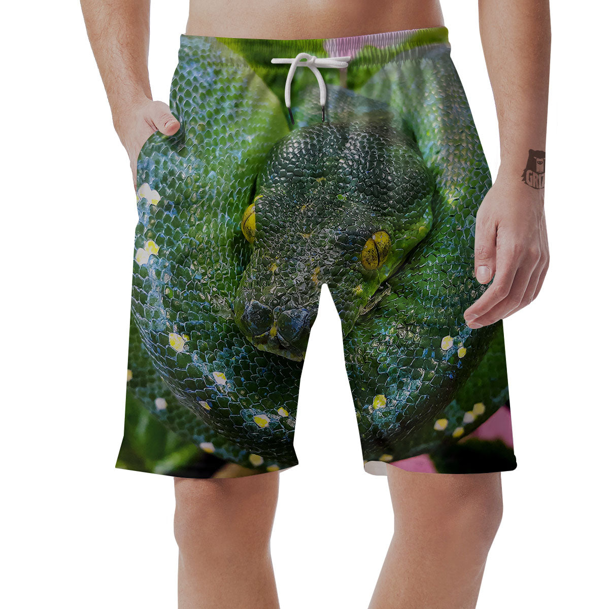 Python Snake Green Reticulated Print Men's Shorts-grizzshop