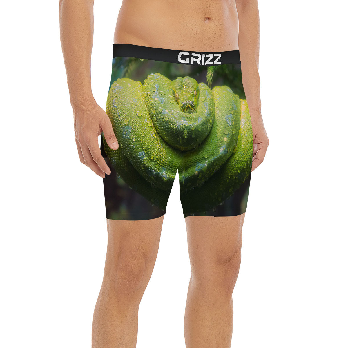 Python Snake Green Tree Print Boxer Briefs-grizzshop