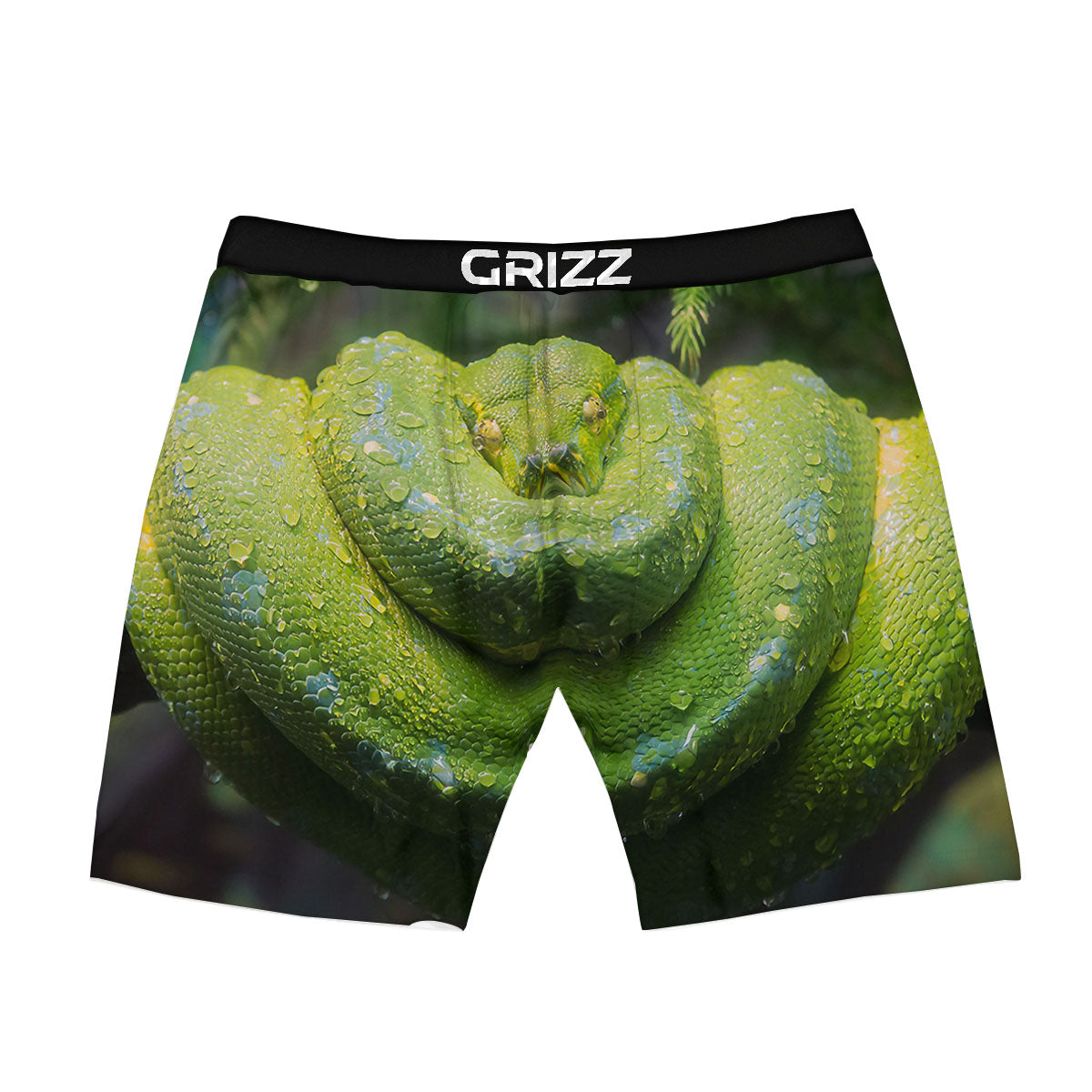 Python Snake Green Tree Print Boxer Briefs-grizzshop