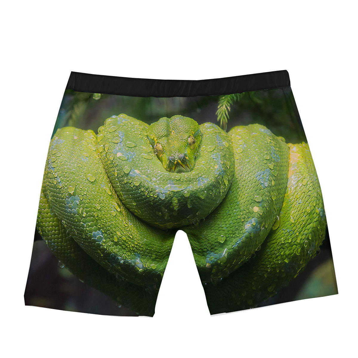 Python Snake Green Tree Print Boxer Briefs-grizzshop