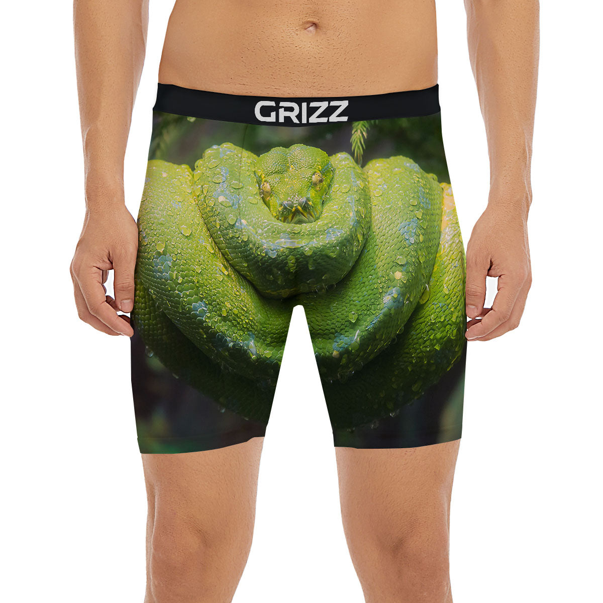 Python Snake Green Tree Print Boxer Briefs-grizzshop