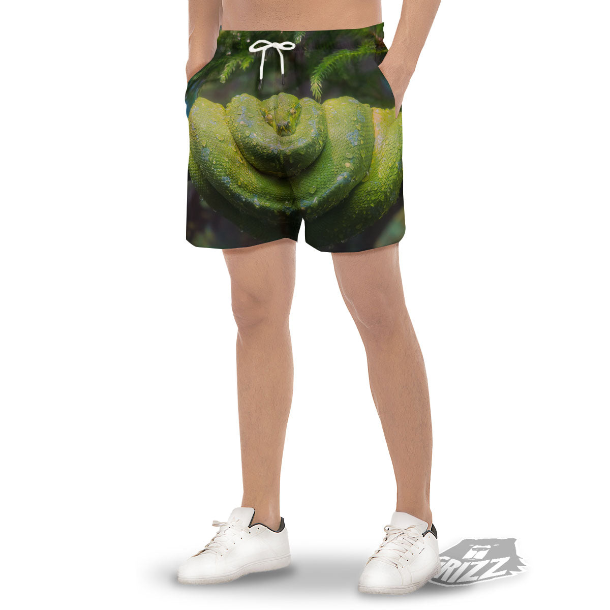 Python Snake Green Tree Print Men's Gym Shorts-grizzshop
