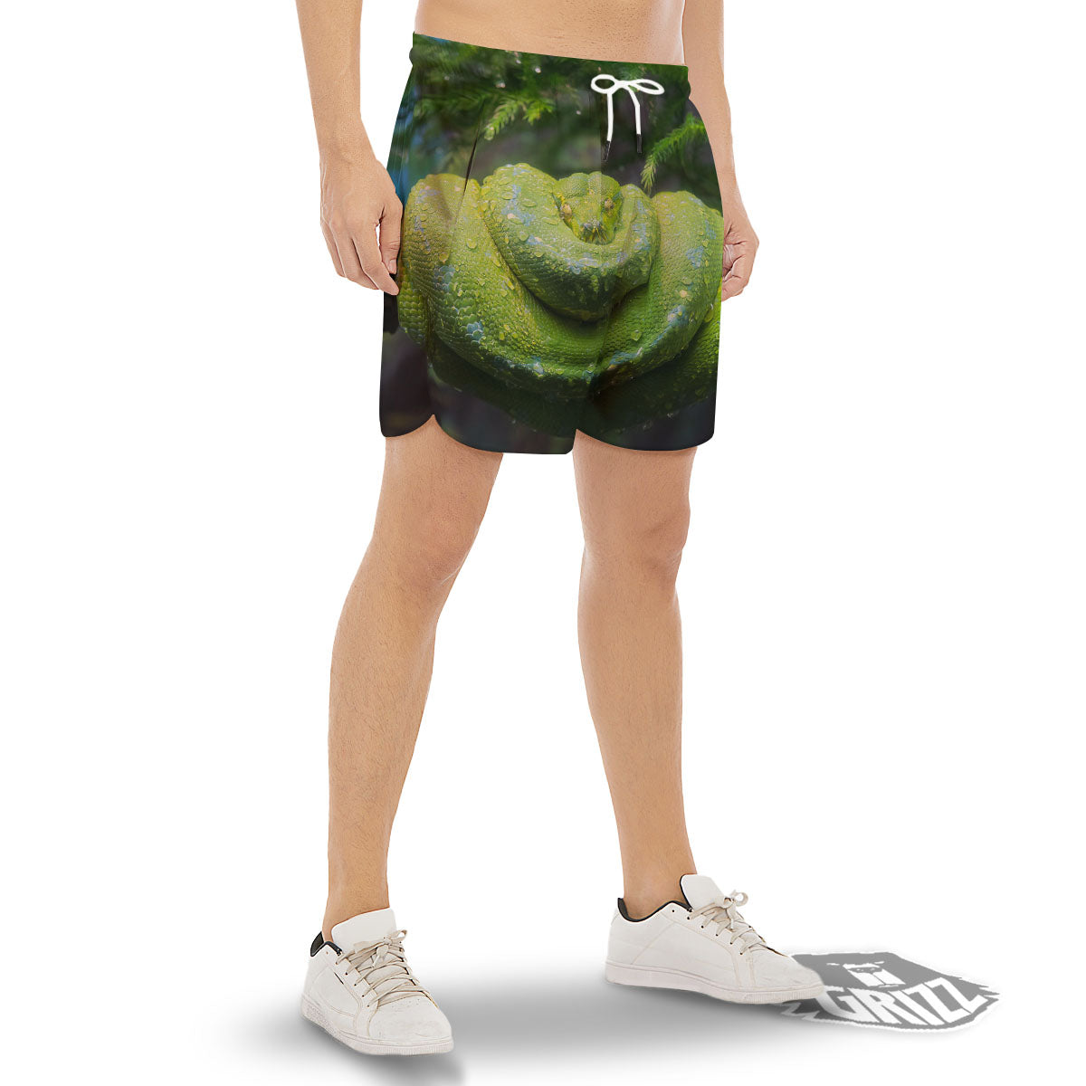 Python Snake Green Tree Print Men's Gym Shorts-grizzshop