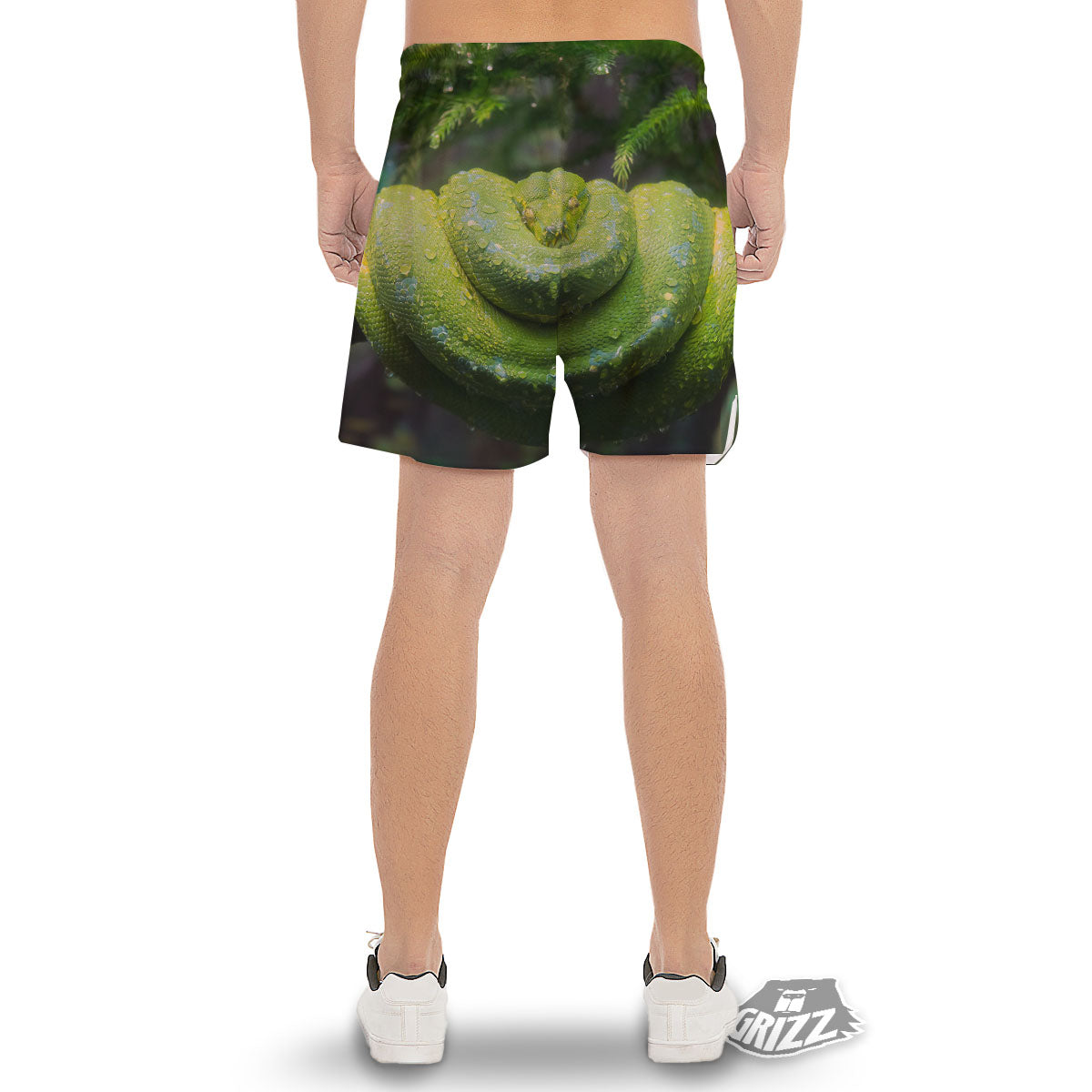 Python Snake Green Tree Print Men's Gym Shorts-grizzshop