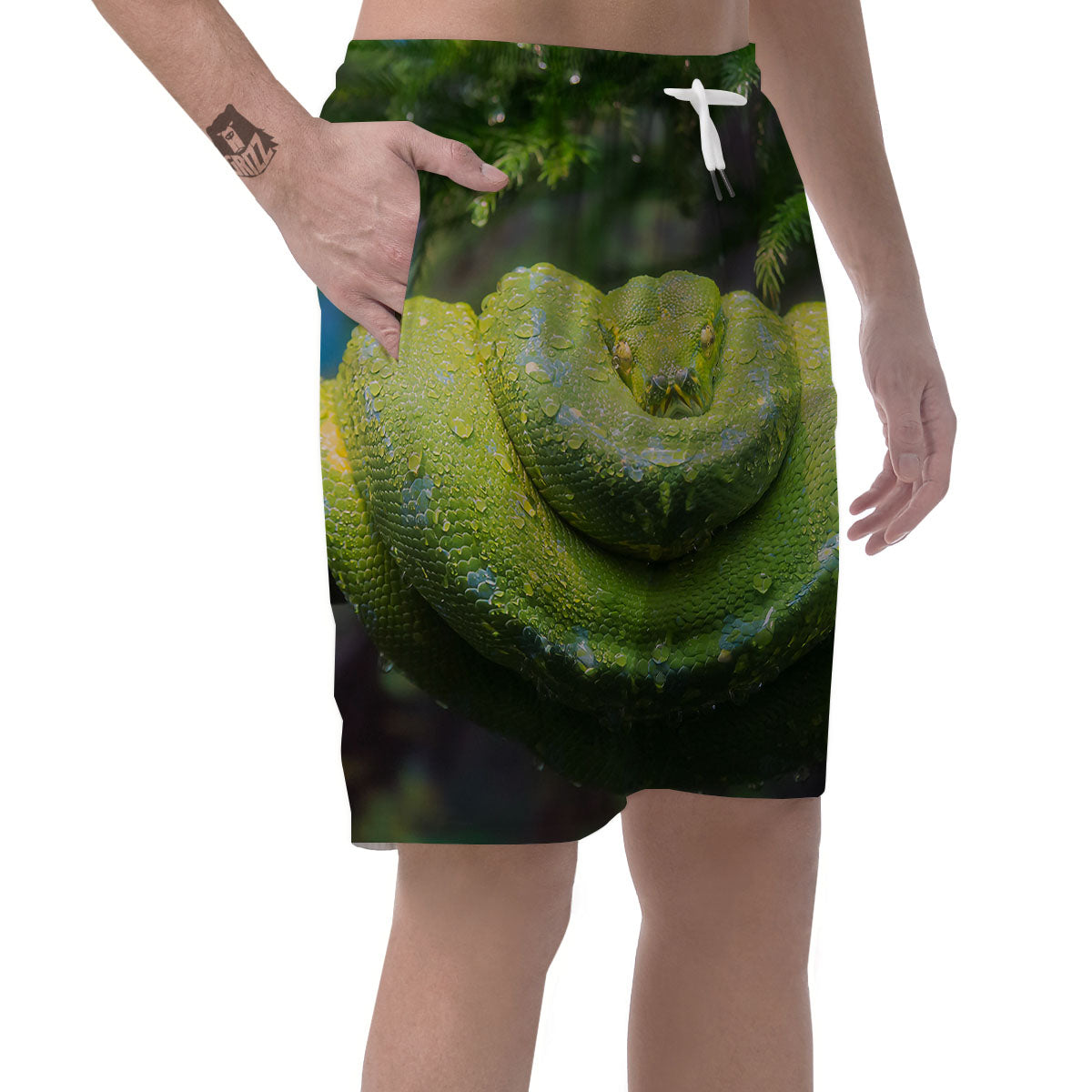 Python Snake Green Tree Print Men's Shorts-grizzshop
