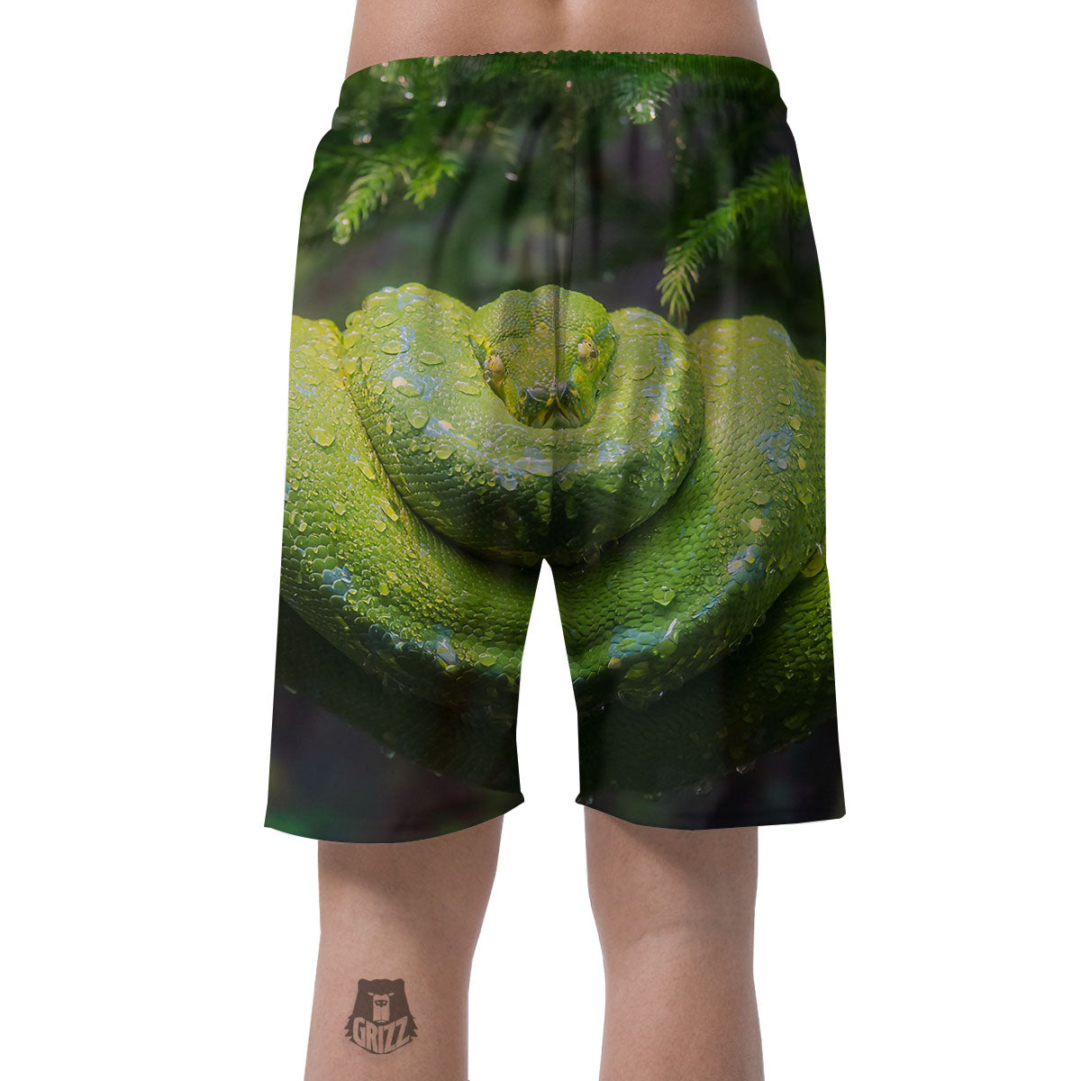 Python Snake Green Tree Print Men's Shorts-grizzshop