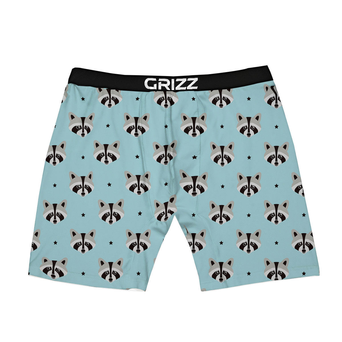 Raccoon Cartoon Print Pattern Boxer Briefs