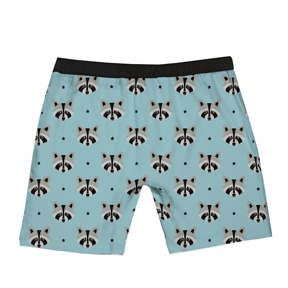 Raccoon Cartoon Print Pattern Boxer Briefs