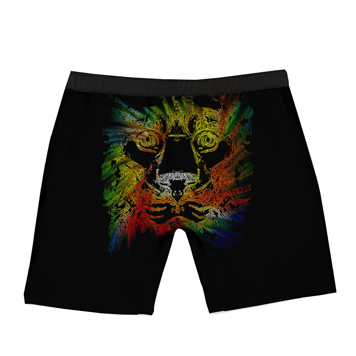 Rasta Lion Grunge Print Boxer Briefs-grizzshop