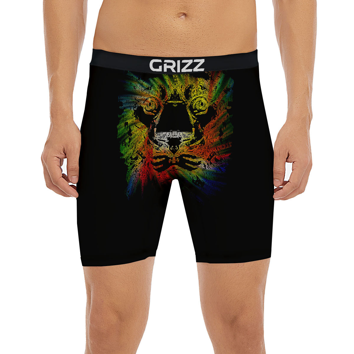 Rasta Lion Grunge Print Boxer Briefs-grizzshop
