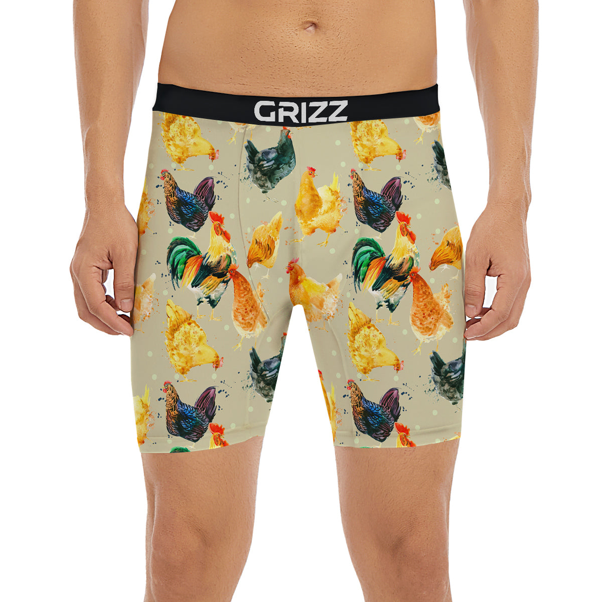 Rooster Watercolor Print Pattern Boxer Briefs-grizzshop