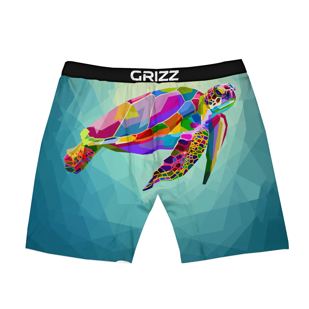 Sea Turtle Colorful Print Boxer Briefs