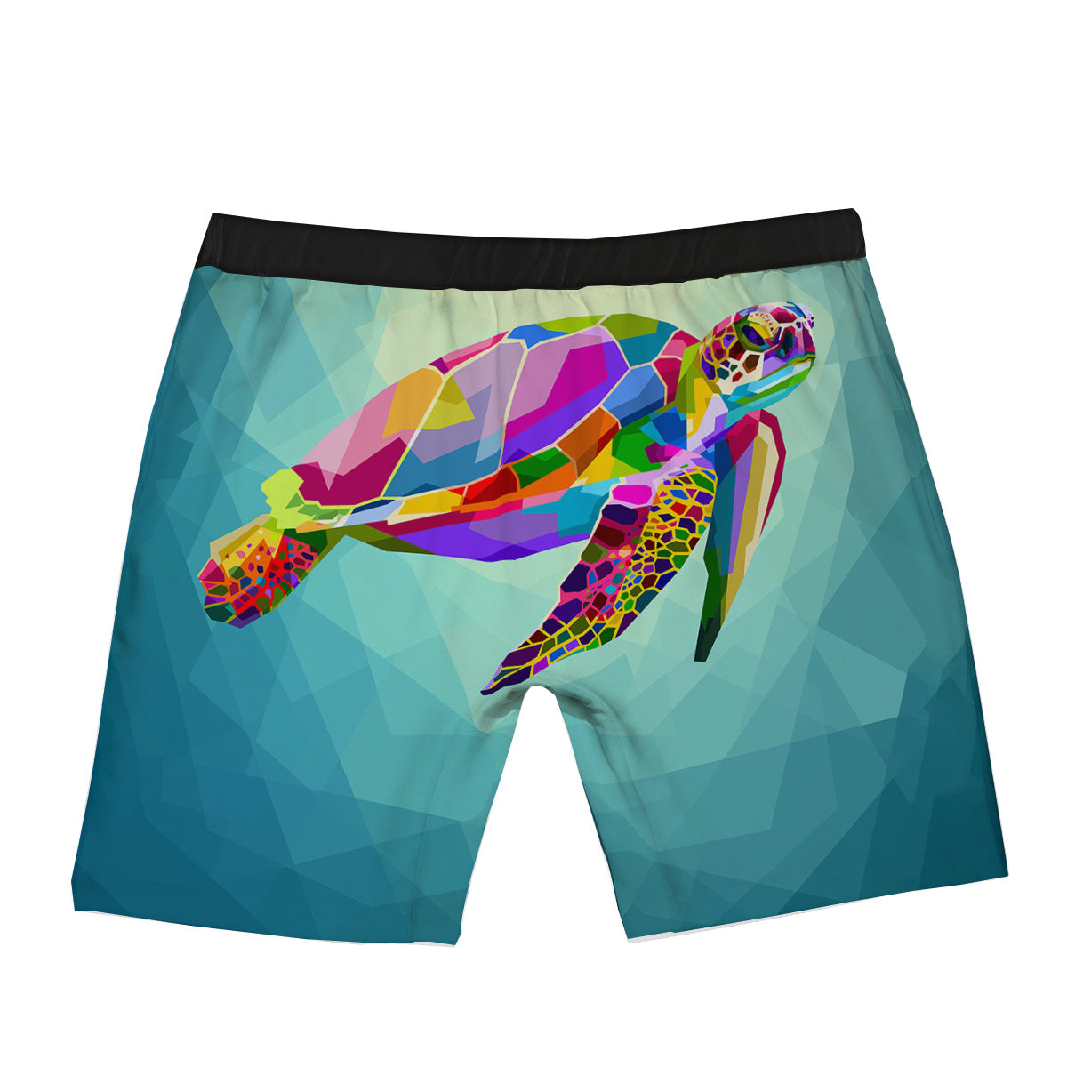 Sea Turtle Colorful Print Boxer Briefs