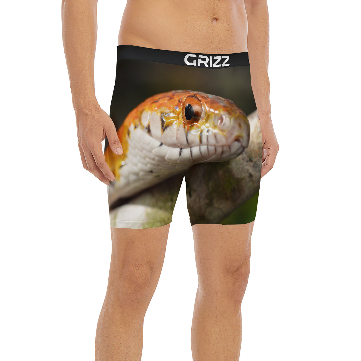 Snake Corn Print Boxer Briefs-grizzshop