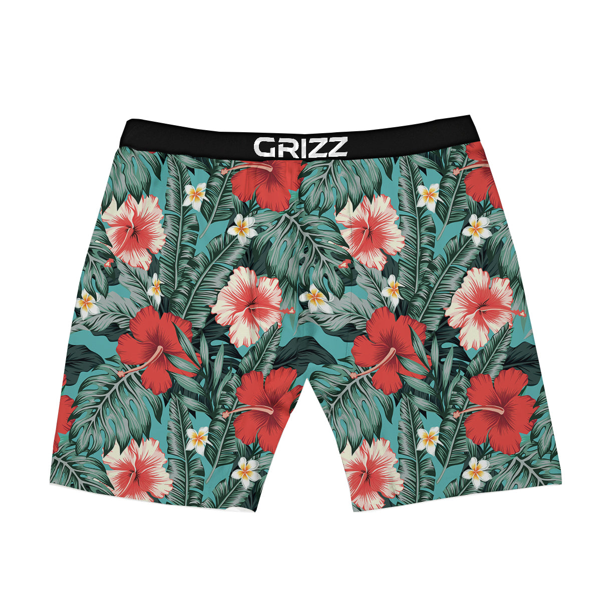 Tropical Leaf Turquoise Print Pattern Boxer Briefs-grizzshop