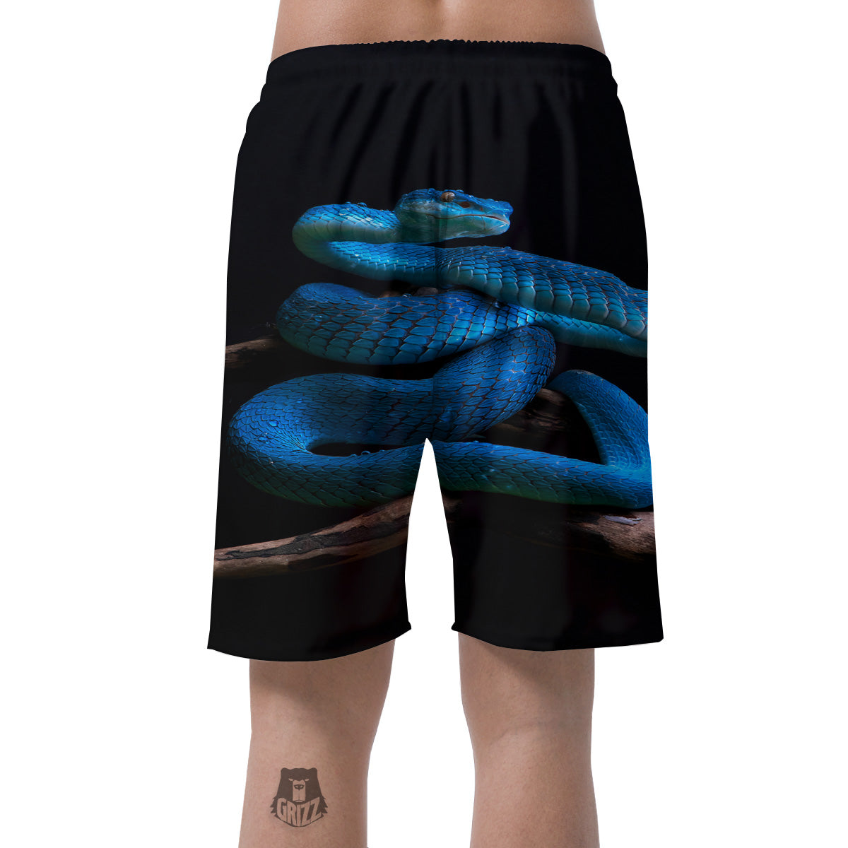 Viper Snake Blue Pit Print Men's Shorts-grizzshop