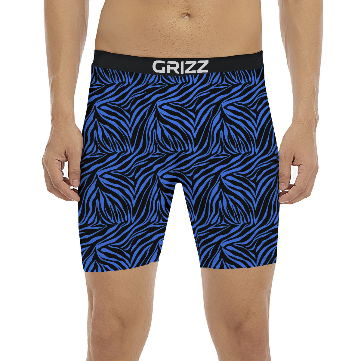 Zebra Black Blue Print Pattern Boxer Briefs-grizzshop