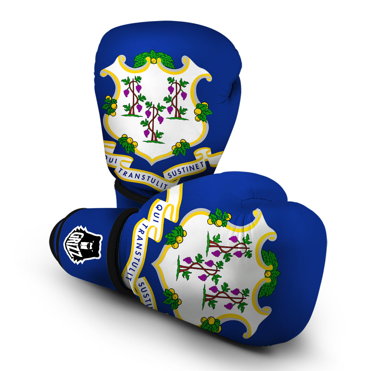 Flag Of Connecticut Boxing Gloves-grizzshop
