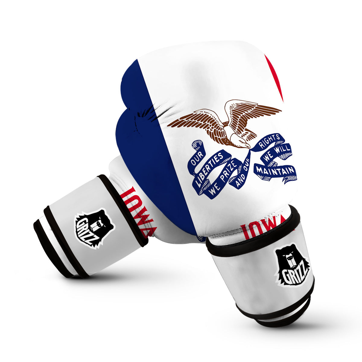 Flag Of Iowa Boxing Gloves-grizzshop