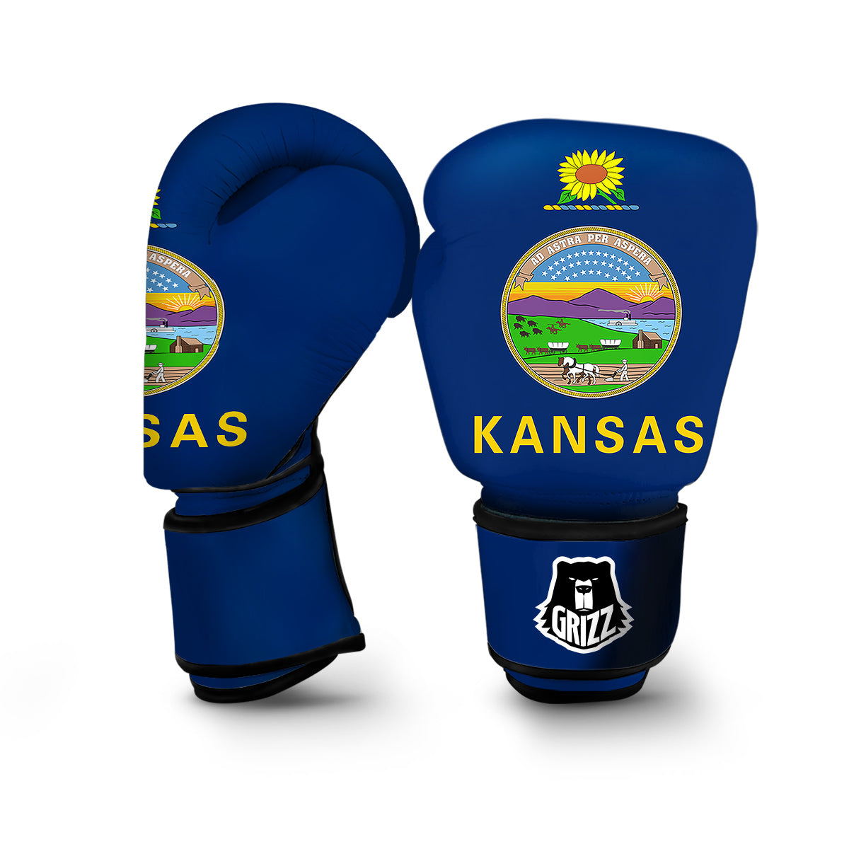 Flag Of Kansas Boxing Gloves-grizzshop