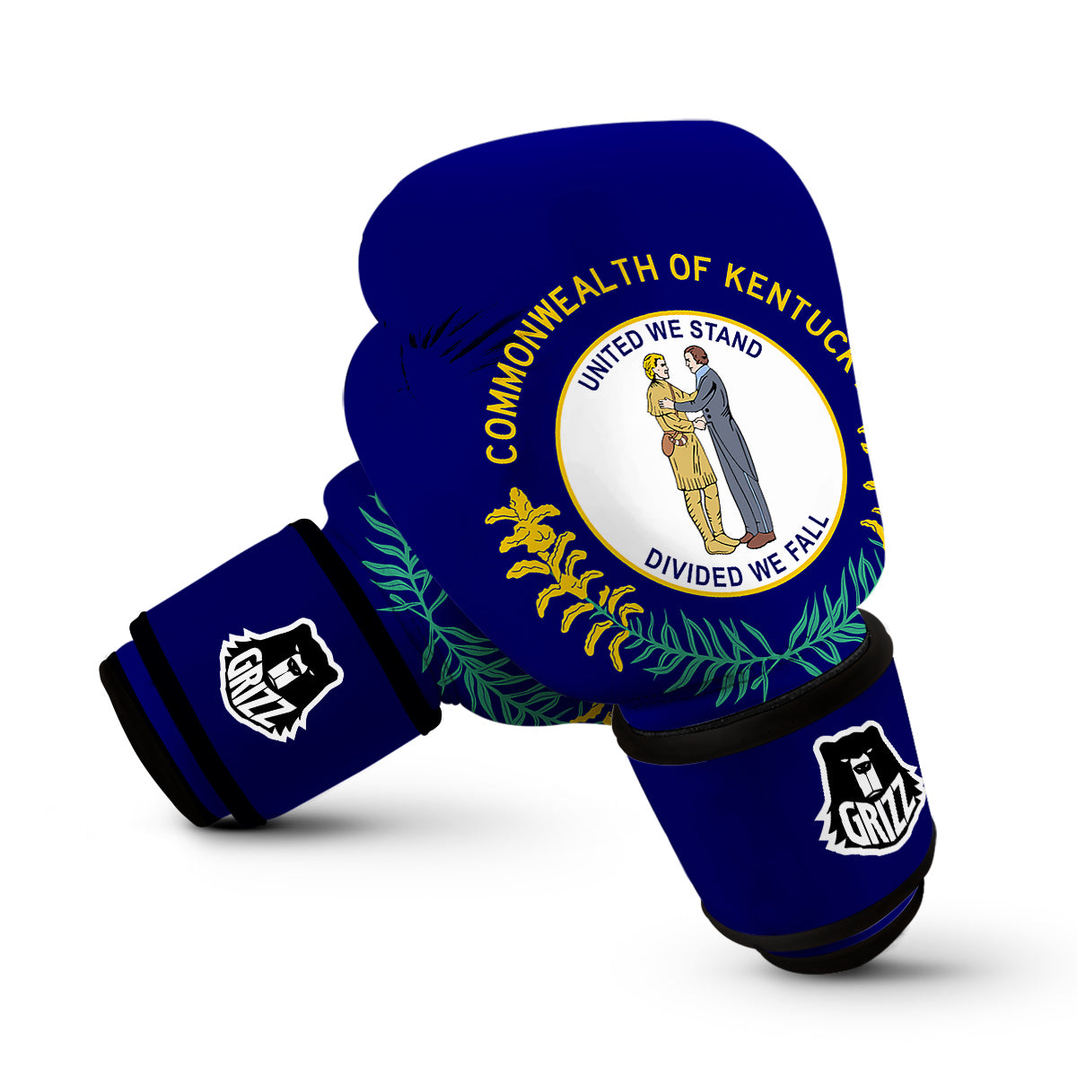 Flag Of Kentucky Boxing Gloves-grizzshop