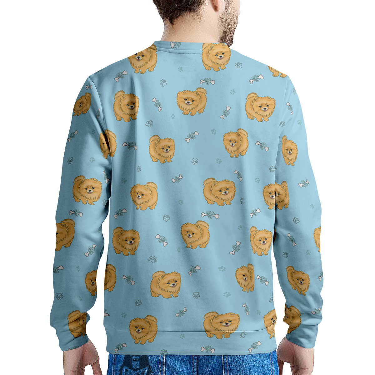 Pomeranian Little Print Pattern Men's Sweatshirt-grizzshop