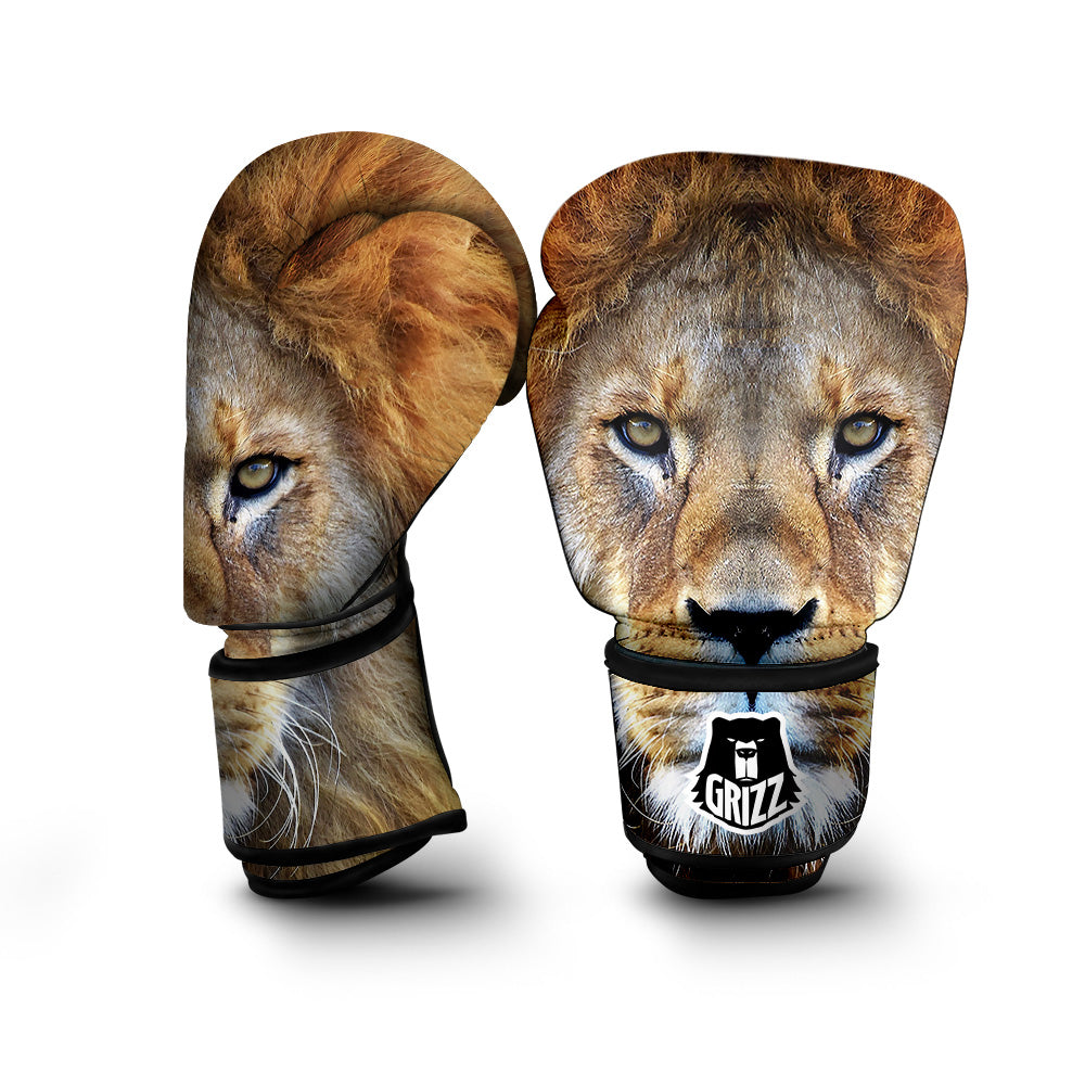 Portrait African Lion Print Boxing Gloves-grizzshop