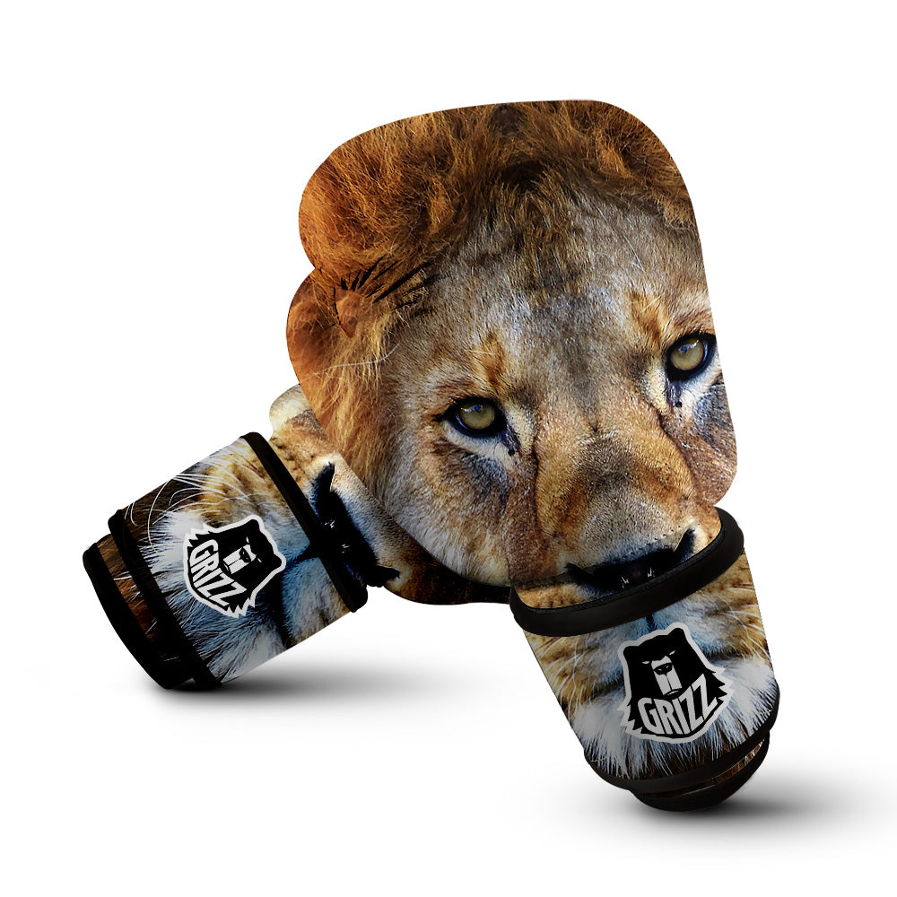 Portrait African Lion Print Boxing Gloves-grizzshop