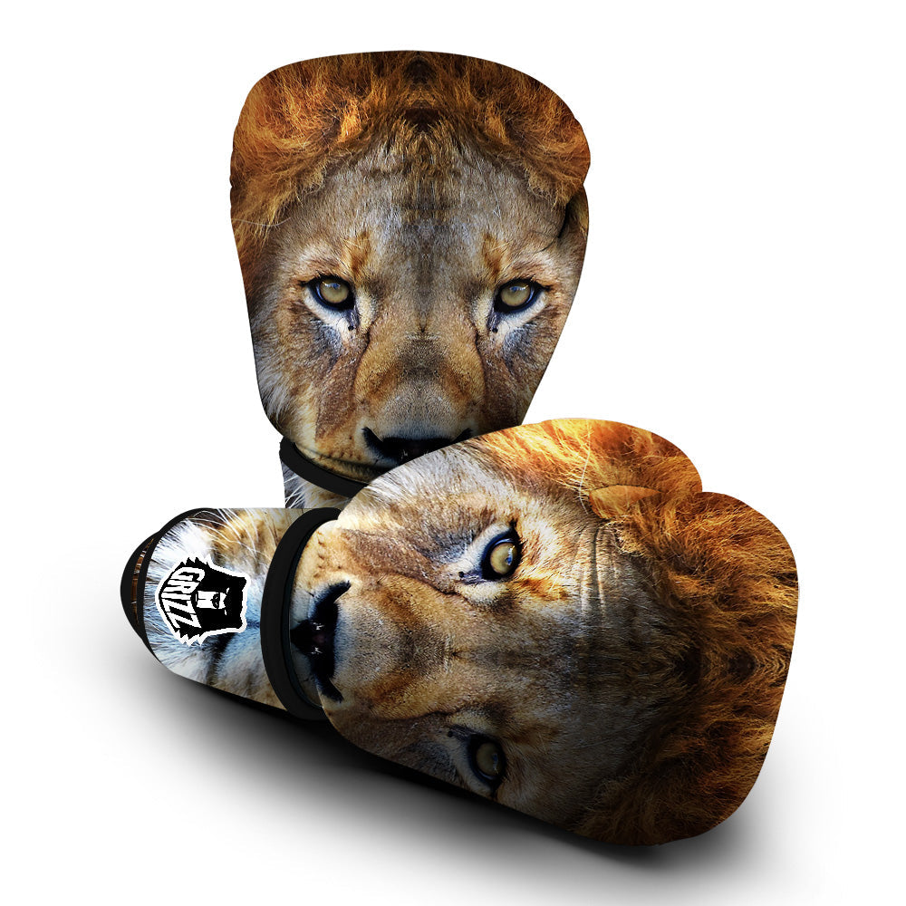 Portrait African Lion Print Boxing Gloves-grizzshop