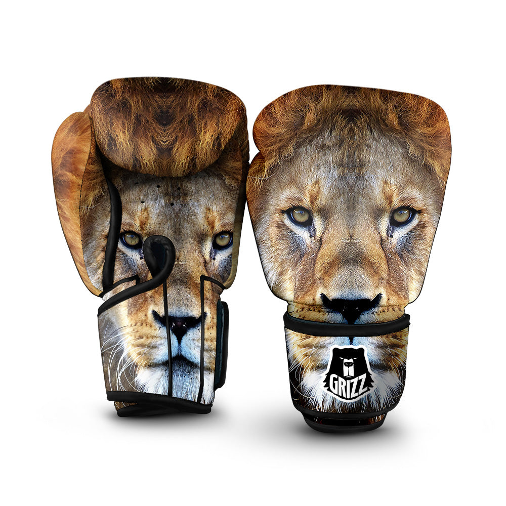 Portrait African Lion Print Boxing Gloves-grizzshop