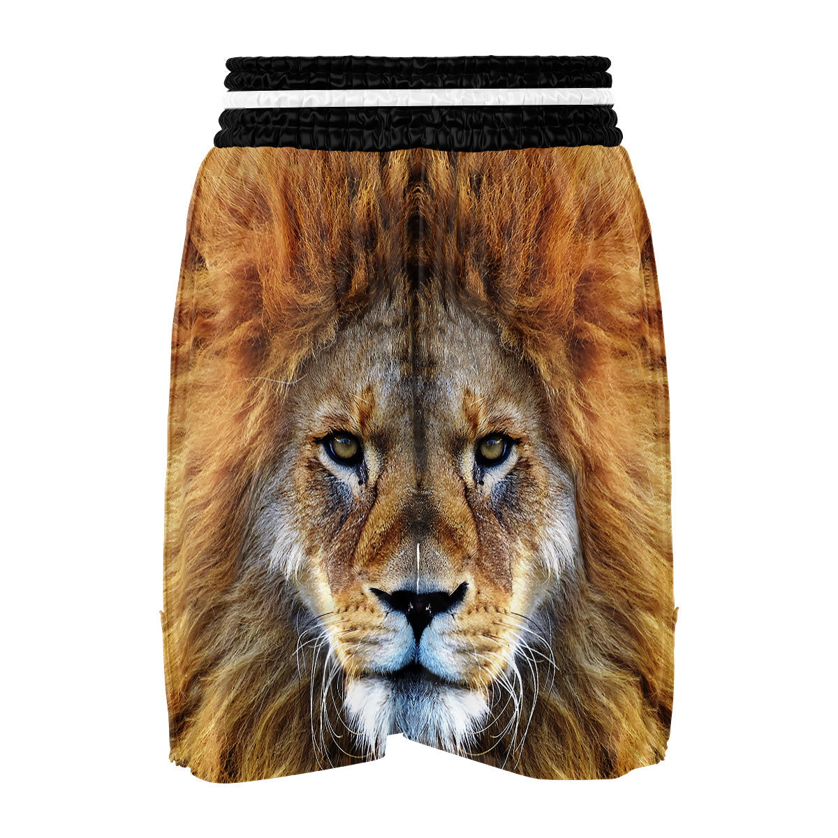 Portrait African Lion Print Boxing Shorts-grizzshop
