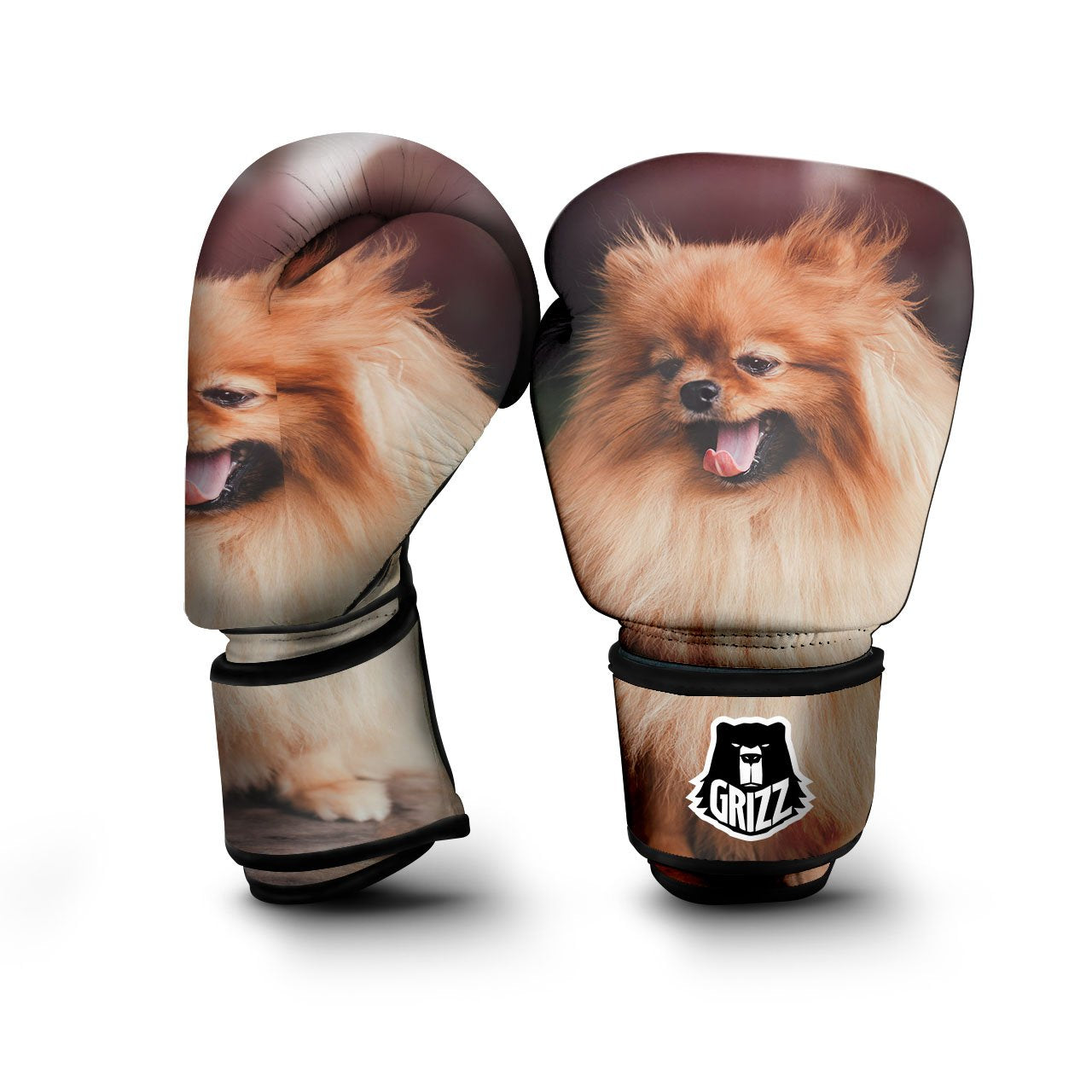 Portrait Vintage Pomeranian Boxing Gloves-grizzshop