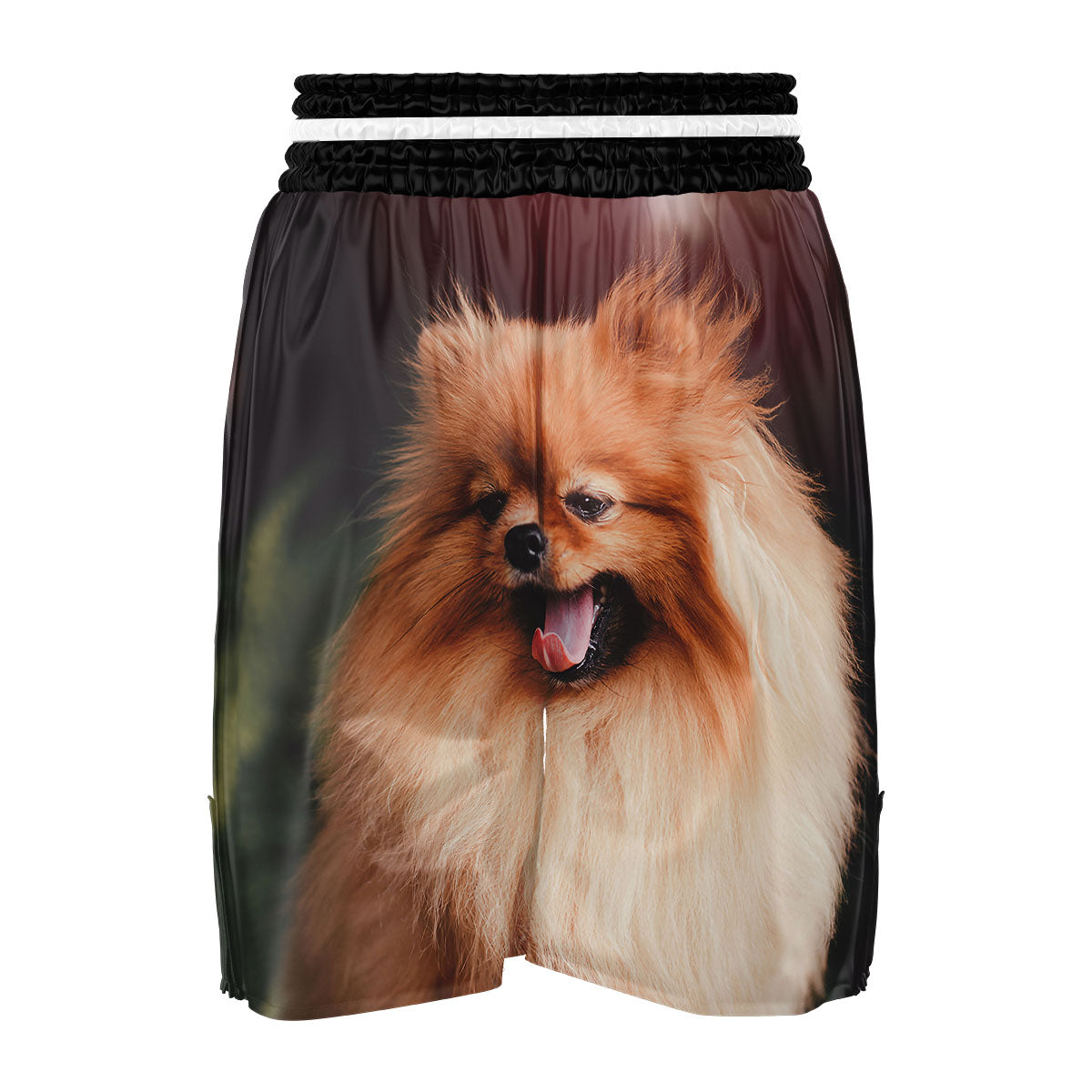 Portrait Vintage Pomeranian Boxing Shorts-grizzshop