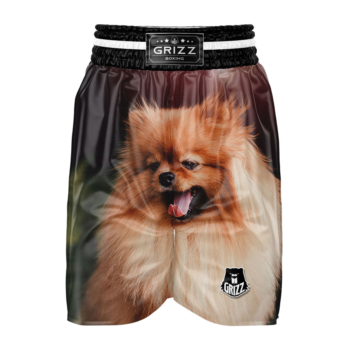 Portrait Vintage Pomeranian Boxing Shorts-grizzshop