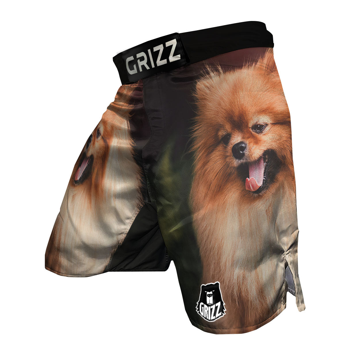 Portrait Vintage Pomeranian MMA Shorts-grizzshop
