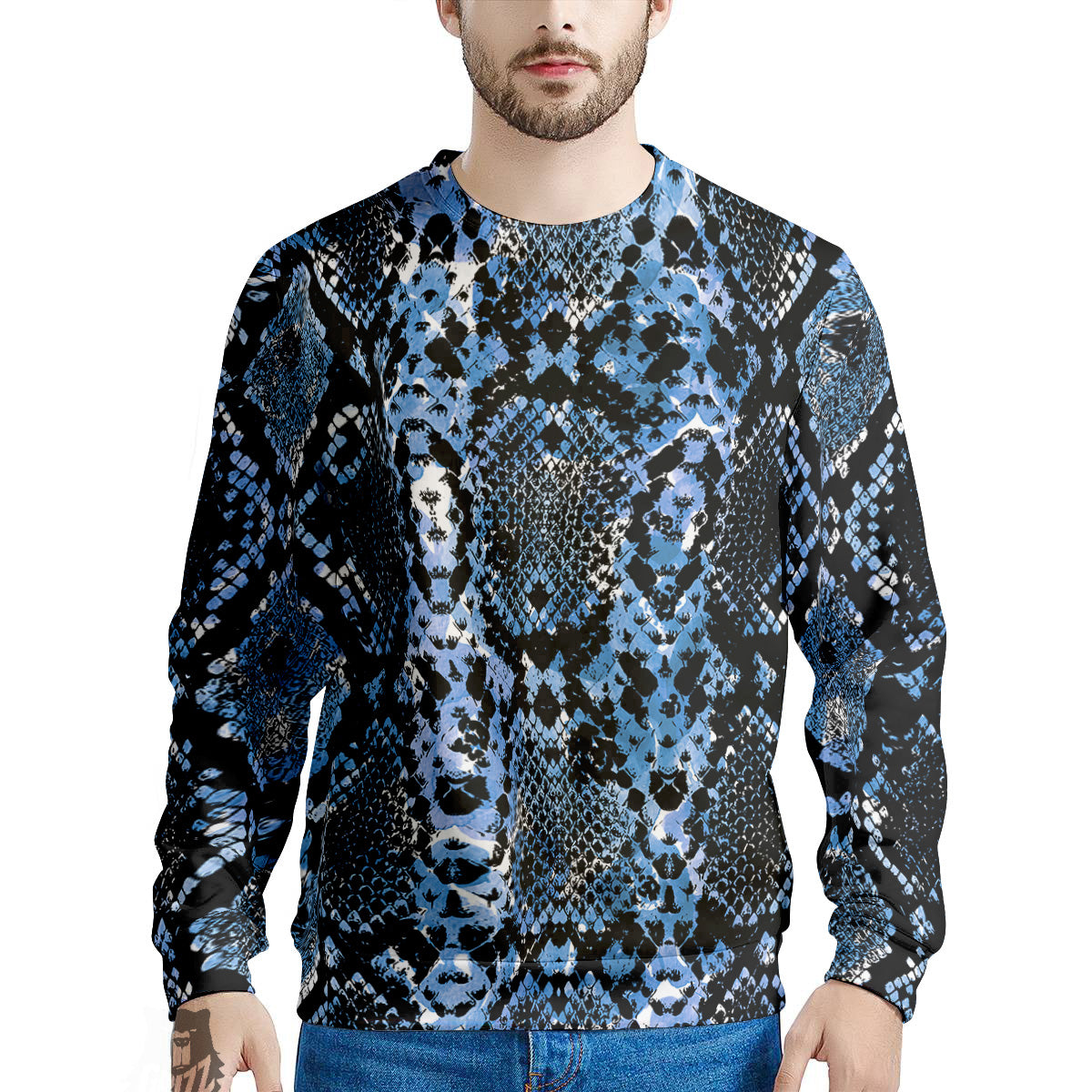 Snakeskin Black And Blue Print Men's Sweatshirt-grizzshop