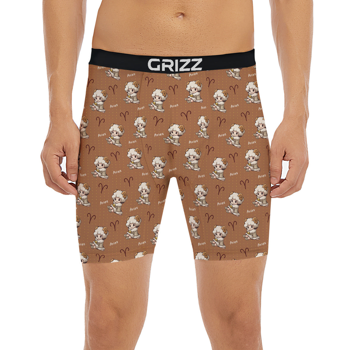 Aries Cute Cartoon Print Pattern Boxer Briefs-grizzshop