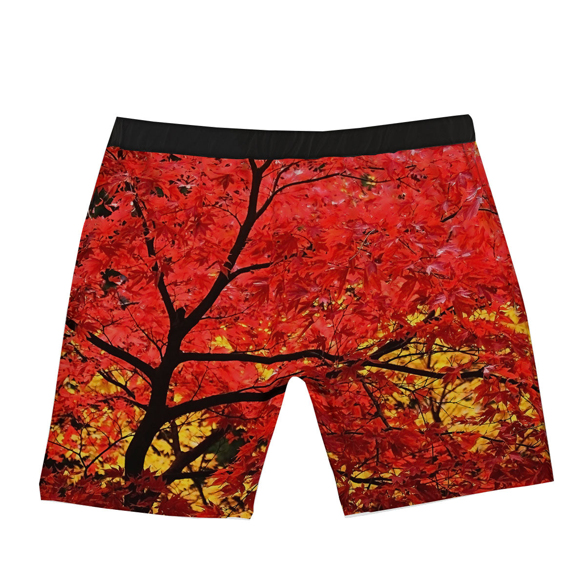 Autumn Trees Red Print Boxer Briefs-grizzshop