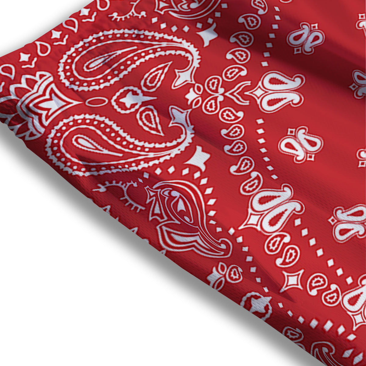 Bandana Red Paisley Print Mesh Shorts