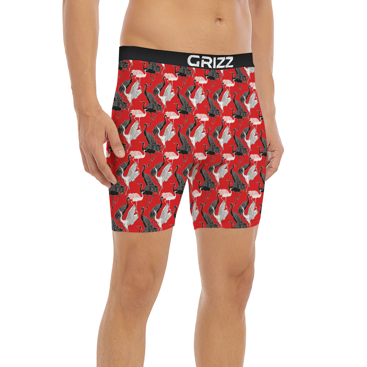 Bird Crane Print Pattern Boxer Briefs-grizzshop
