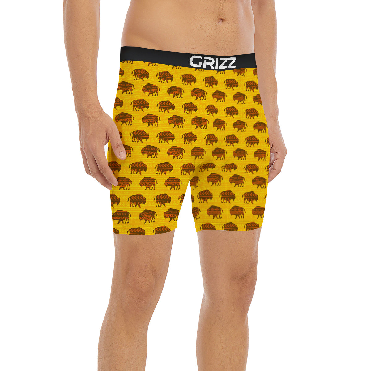Bison Aztec Print Pattern Boxer Briefs-grizzshop