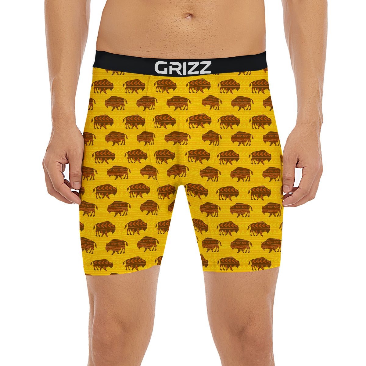 Bison Aztec Print Pattern Boxer Briefs-grizzshop