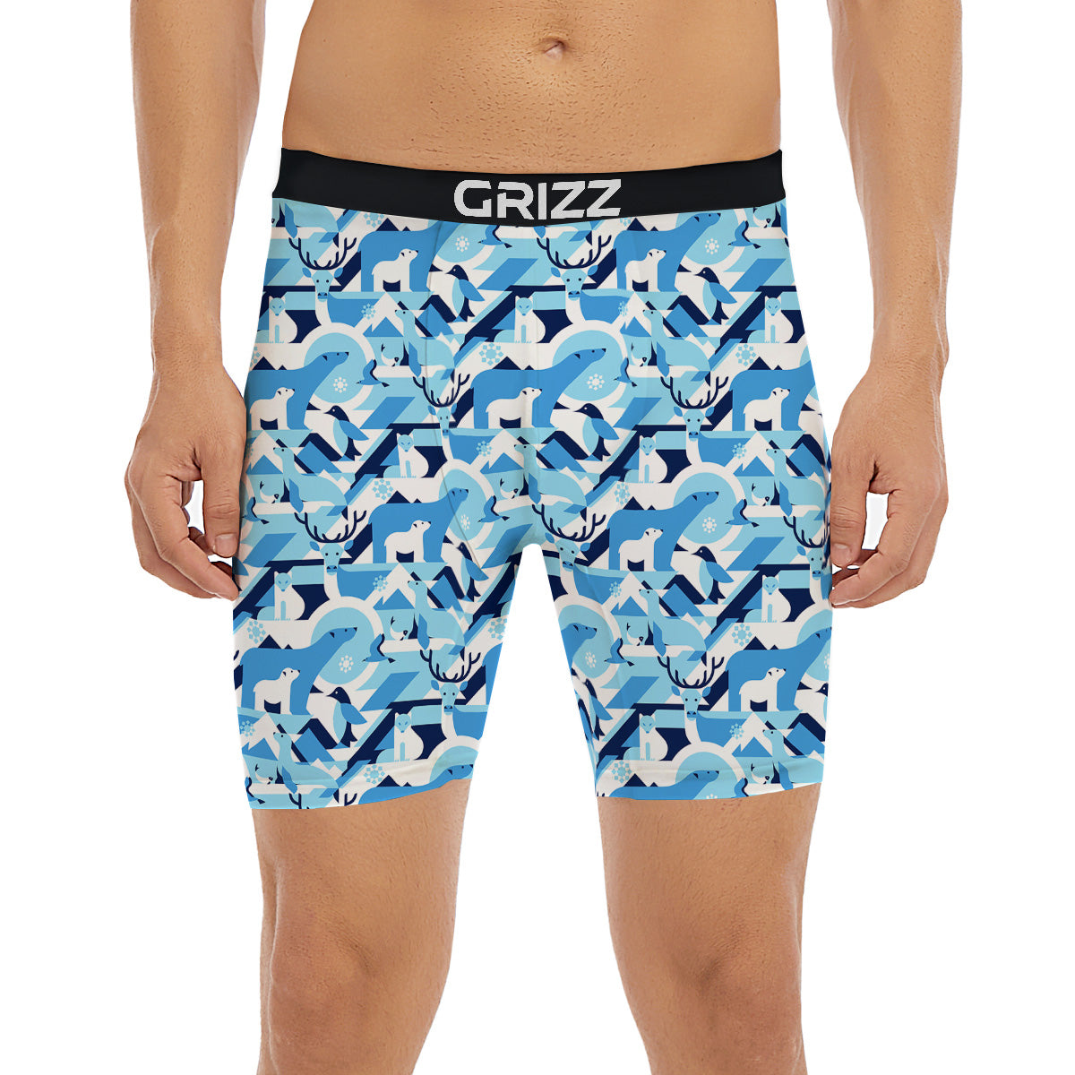 Blue Arctic Animals Print Pattern Boxer Briefs-grizzshop